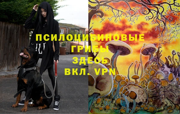 амф Алексин